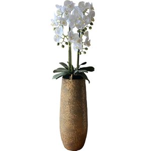 Levensechte Kunst Orchidee / Phalaenopsis plant 75 cm met zwarte pot ( 5-taks vol bloemen) kleur Wit - Kunstplant