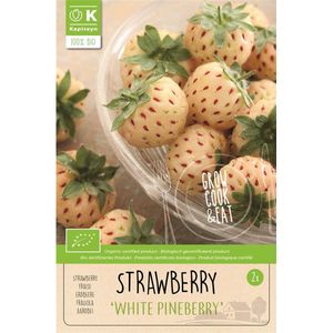 Fragaria 'White Pineberry' - Biologische witte aardbei - 2 stekken