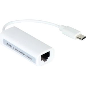 USB-C naar Internet - Ethernet LAN Netwerk Adapter- USB-C naar RJ45 - Wit