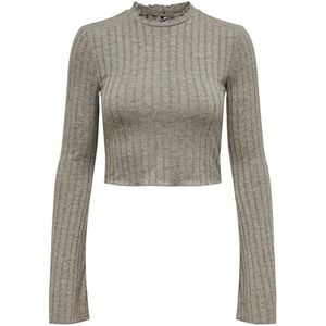 Only Tonja Top Met Lange Mouwen Beige S Vrouw
