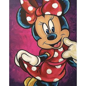 Disney diamond painting-Minnie Mouse-30x40-ronde steentjes-complete set