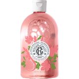 Douchegel - Aloë Vera - Vijgenextract - Plantaardige Basis