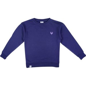 Dundee sweatshirt navy maat 122