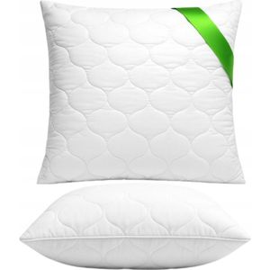 Anti-allergische Aloë Vera Kusjes 50x60cm - Dik en comfortabel