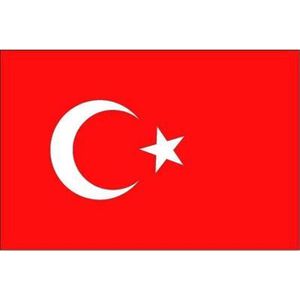 10x Binnen en buiten stickers Turkije 10 cm - Turkse vlag stickers - Supporter feestartikelen - Landen decoratie en versieringen