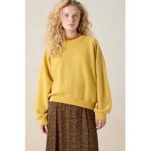 Sissy-Boy - Sweater - Geel - Lange Mouwen - Hoge Ronde Halslijn