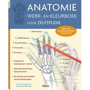 Anatomie werk en kleurboek voor zelfstudie