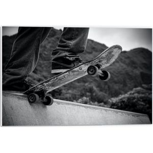 Forex - Zwart - Wit Skateboard op Skatebaan - 60x40cm Foto op Forex