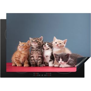 KitchenYeah® Inductie beschermer 75x52 cm - Kittens - Blauw - Roze - Meisjes - Kinderen - Jongens - Kind - Kookplaataccessoires - Afdekplaat voor kookplaat - Inductiebeschermer - Inductiemat - Inductieplaat mat
