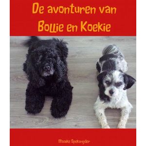 De avonturen van Bollie en Koekie