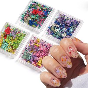 4-delige set 3D-nagelkunststickers met gedroogde bloemen - kleurrijke droogbloemen voor nagels - doe-het-zelf mini-mix bloemblaadjes nagelstickers met droogbloemen