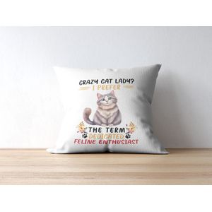 Grappig Kussen met tekst: Crazy Cat Lady ? I prefer the term ""Dedicated Feline Enthusiast"" | Grappige Quote | Funny Quote | Grappige Cadeaus | Grappig Kussen | Geschenk | Sierkussen