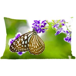 Sierkussens - Kussentjes Woonkamer - 60x40 cm - Lavendel - Vlinder - Botanisch
