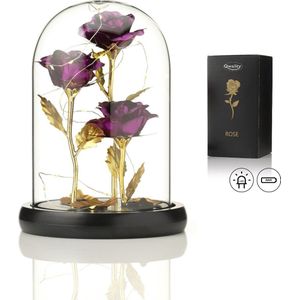 Luxe Roos in Glas met LED – 3x Gouden Roos in Brede Glazen Stolp – Moederdag - Cadeau voor vriendin moeder haar - Paars 3x Roos Brede Stolp – Qwality