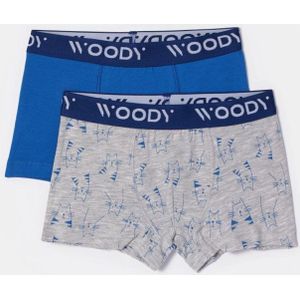 Woody duopack boxershort jongens - blauw/grijs katten all-overprint - 252-10-CLD-Z/012 - maat 98