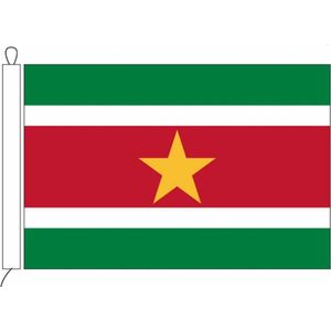 Surinaamse vlag van Suriname 50 x 75 cm