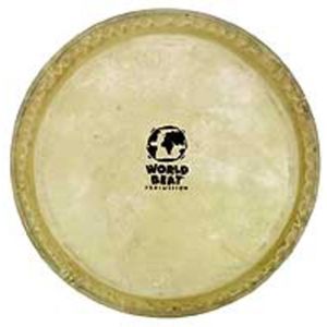 Latin Percussion Bongovel CP221A, 6"", voor CP Bongo - Bongo vel