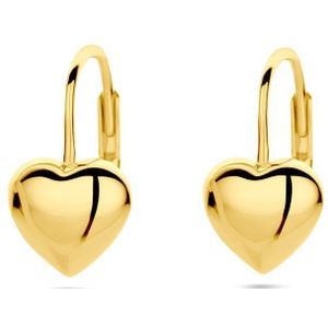 Zilver Verguld (Geel) Oorhangers Hart Brisur Haak 1 Micron 2103424
