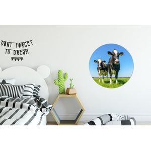 Behangcirkel - Koeien - Koe - Dieren - Natuur - Weiland - Woondecoratie - Rond behang - Behangcirkel dieren - 80x80 cm - Zelfklevend behang - Behangsticker - Behang zelfklevend