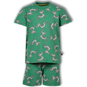 Woody jongens pyjama - groen - zebra - 191-1-PSS-S/975 - maat 140