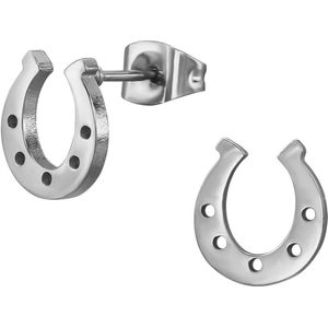 CS Joy - Hoefijzer oorbellen - Chirurgisch staal - 9 x 10 mm