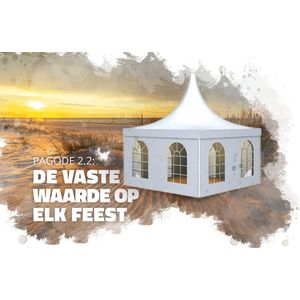 Grizzly Outdoor Pagodetent PVC 4x4 inclusief zijwanden en grondframe