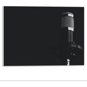 Forex - Zwarte Microfoon op Zwarte Achtergrond - 40x30cm Foto op Forex