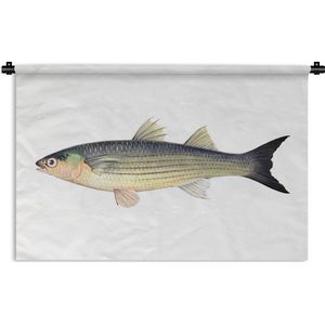 Wandkleed Vissen - Goudharder vis op een witte achtergrond Wandkleed katoen 90x60 cm - Wandtapijt met foto