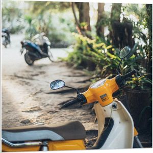 Forex - Gele Scooter bij Bomen - 80x80cm Foto op Forex