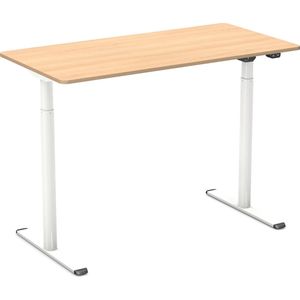 Worktrainer - BudgetDesk Zit Sta Bureau - Hoogte 72,5 - 117,5 cm - Breedte 120 cm - Zwart - Inclusief Bureaublad 120 x 60 cm - Elektrisch in Hoogte Verstelbaar Bureau