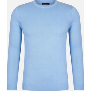 Blauwe Pullover Heren Fico