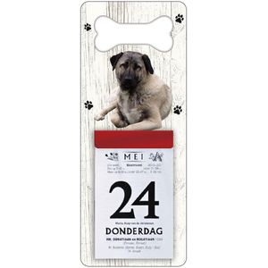 Scheurkalender 2024 Hond: Kangal