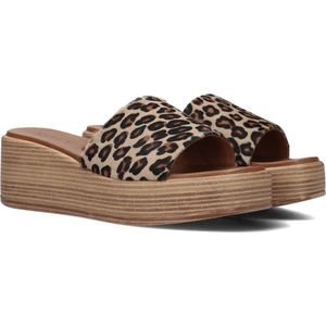 Notre-V 816013 Slippers - Dames - Bruin - Maat 40