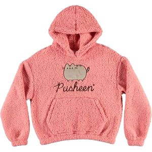Pusheen Teddy Hoodie Dames Trui met capuchon - meerkleurig - XL