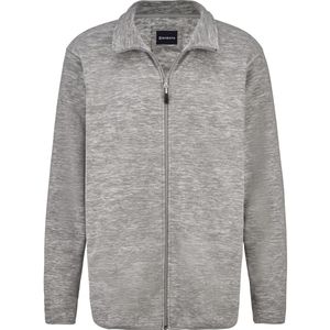 Babista - FLOREVERTO - Fleecejack - Lichtgrijs