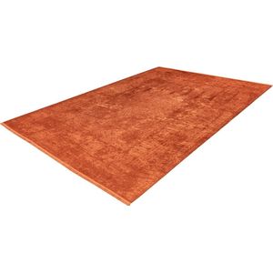 Studio - vloerkleed - laagpolig - antislip - strak - superzacht - luxe - shiny - tapijt - kleed - 120x170 cm Terra