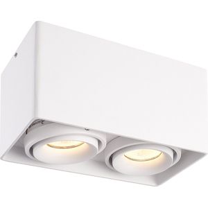 HOFTRONIC Esto - Plafondspot Grijs Dubbel Opbouw - Kantelbaar en Dimbaar - Verwisselbare GU10 Spot - 4000K Neutraal wit - 10 Watt 800 lumen - 187x94x105 mm - IP20 voor woonkamer, slaapkamer en gang - Plafondverlichting binnen