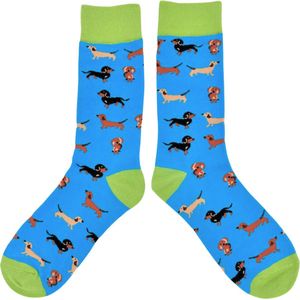 Tutti Footi - Grappige Sokken met een Teckels - Honden sokken blauw/groen maat 37-42