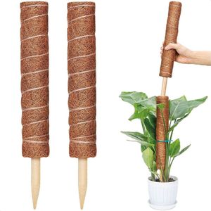 LBB Verlengbare mosstok - 2 pack 40cm - Verlengbaar tot 80cm - Plantenstok - Mosstok voor planten - Plantensteun - Mosstok kamerplant