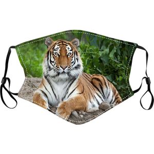 Mondmasker Leeuw op zand