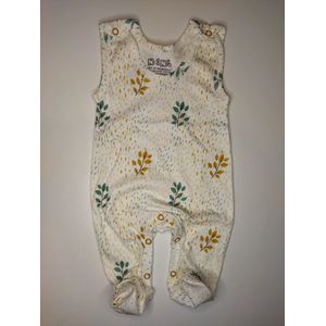 Nini - Boxpakje Sanne - Maat 68 - 4 t/m 6 maanden