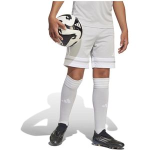 Adidas - Squadra 25 - Korte Broek - Grijs