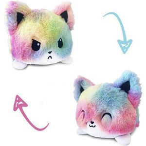 Mood knuffel - fidget toys - emotie knuffel - cat rainbow - Schoencadeautjes sinterklaas