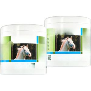 Paardenbalsem - Verkoelend Duo - 2 X 500 Ml - Massagegel Met Menthol En Kamfer - Verkoelende Zalf Voor Spier- En Gewrichtsklachten - Bevordert De Doorbloeding - Verfrist En Verlicht Gewrichtspijn