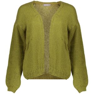 Geisha - Cardigan - Groen - Dames