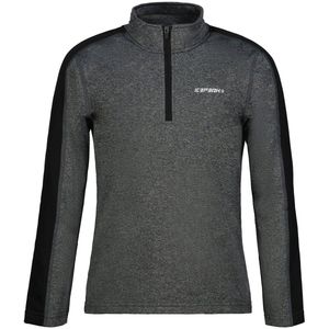 Icepeak Fleminton T-shirt Met Lange Mouwen Grijs 5-6 Years Jongens,Meisjes