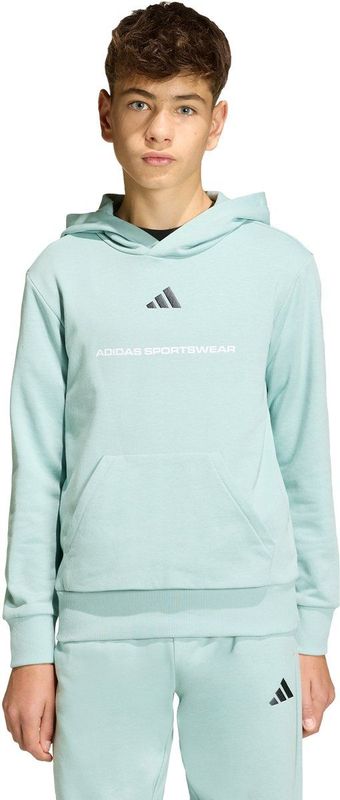adidas Sportswear adidas Slogan Fleece Hoodie - Kinderen - Groen
