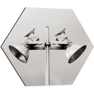 Dibond Hexagon - Grote Speakers op Paal - 50x43.5 cm Foto op Hexagon (Met Ophangsysteem)