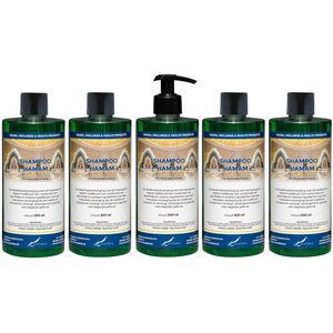 Shampoo Hamam 500 ml met zwarte pomp - set van 5 stuks - voordeelverpakking - haarverzorging