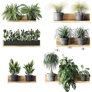 3D muurstickers realistisch landschap - set van 3 - voor woonkamer, slaapkamer, badkamer, keuken - 3D raamweergave met vaas en plant .